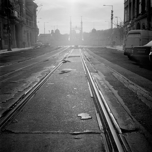 Bird flying over tram lines in Budapest.